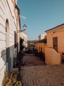 LAURA NENZ — Photography & Visual Storytelling