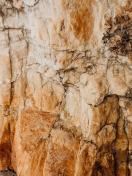 LAURA NENZ — Photography & Visual Storytelling