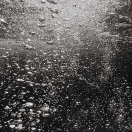 LAURA NENZ — Photography & Visual Storytelling