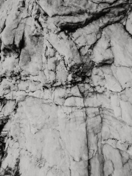 LAURA NENZ — Photography & Visual Storytelling