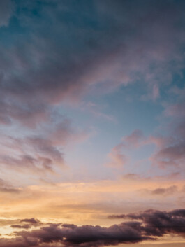 LAURA NENZ — Photography & Visual Storytelling