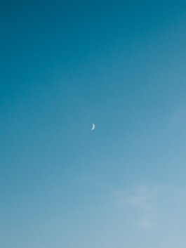 LAURA NENZ — Photography & Visual Storytelling