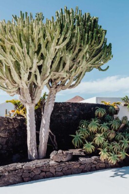 LAURA NENZ — Photography & Visual Storytelling