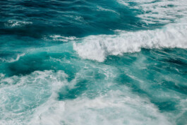 LAURA NENZ — Photography & Visual Storytelling