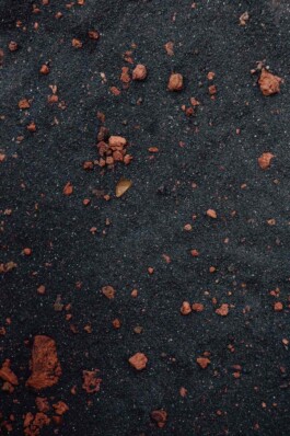 LAURA NENZ — Photography & Visual Storytelling