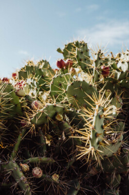 LAURA NENZ — Photography & Visual Storytelling