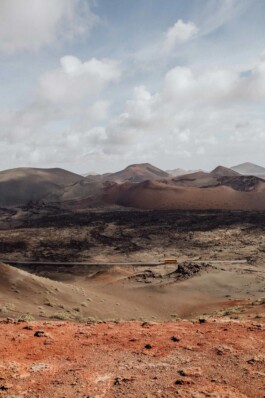 LAURA NENZ — Photography & Visual Storytelling