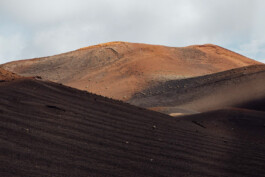 LAURA NENZ — Photography & Visual Storytelling