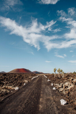 LAURA NENZ — Photography & Visual Storytelling