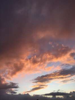 LAURA NENZ — Photography & Visual Storytelling