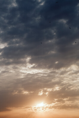 LAURA NENZ — Photography & Visual Storytelling