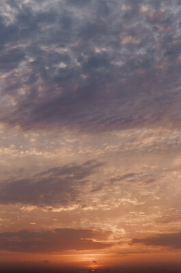 LAURA NENZ — Photography & Visual Storytelling