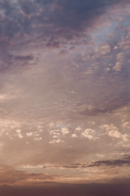 LAURA NENZ — Photography & Visual Storytelling