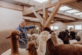 LAURA NENZ — Photography & Visual Storytelling