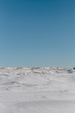 LAURA NENZ — Photography & Visual Storytelling