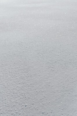 LAURA NENZ — Photography & Visual Storytelling