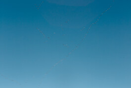 LAURA NENZ — Photography & Visual Storytelling