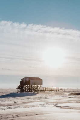 LAURA NENZ — Photography & Visual Storytelling