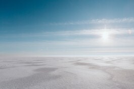 LAURA NENZ — Photography & Visual Storytelling