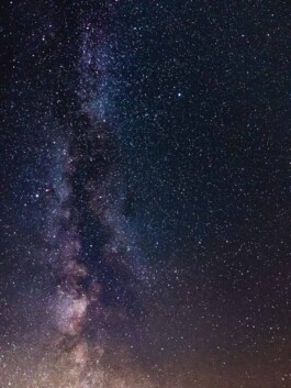 LAURA NENZ — Photography & Visual Storytelling