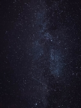 LAURA NENZ — Photography & Visual Storytelling