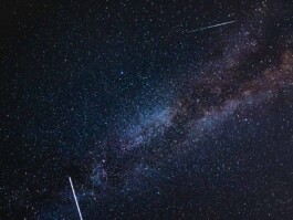 LAURA NENZ — Photography & Visual Storytelling