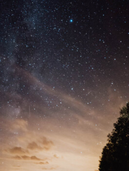 LAURA NENZ — Photography & Visual Storytelling