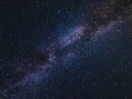 LAURA NENZ — Photography & Visual Storytelling