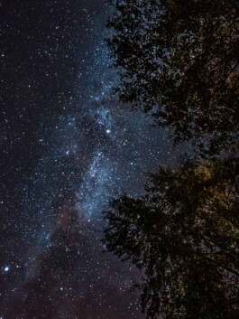 LAURA NENZ — Photography & Visual Storytelling