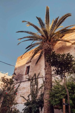 LAURA NENZ — Photography & Visual Storytelling