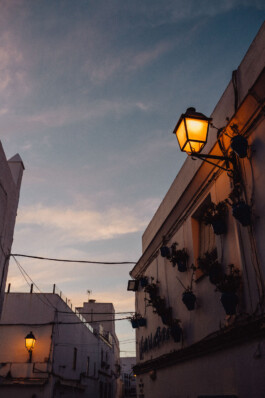 LAURA NENZ — Photography & Visual Storytelling