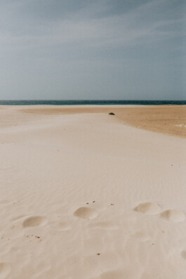 LAURA NENZ — Photography & Visual Storytelling