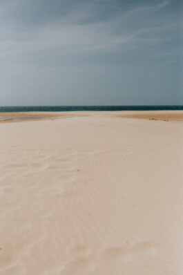 LAURA NENZ — Photography & Visual Storytelling