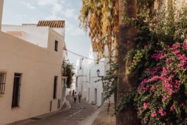 LAURA NENZ — Photography & Visual Storytelling