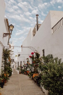 LAURA NENZ — Photography & Visual Storytelling