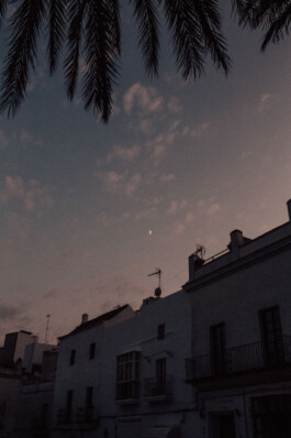 LAURA NENZ — Photography & Visual Storytelling