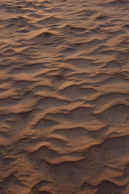 LAURA NENZ — Photography & Visual Storytelling