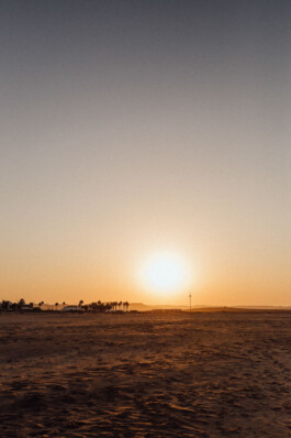 LAURA NENZ — Photography & Visual Storytelling