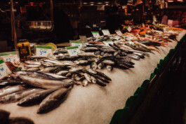 LAURA NENZ — Photography & Visual Storytelling