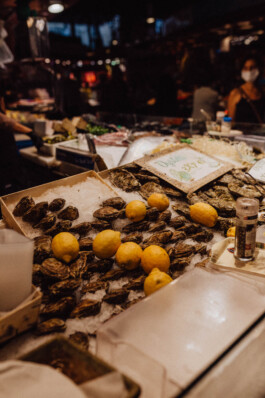 LAURA NENZ — Photography & Visual Storytelling