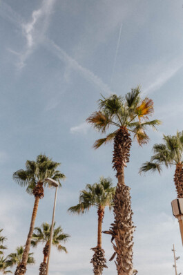 LAURA NENZ — Photography & Visual Storytelling