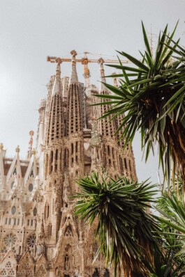 LAURA NENZ — Photography & Visual Storytelling