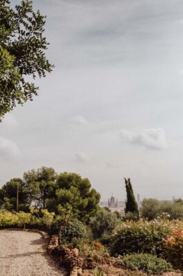 LAURA NENZ — Photography & Visual Storytelling