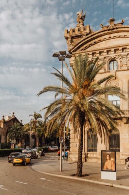 LAURA NENZ — Photography & Visual Storytelling