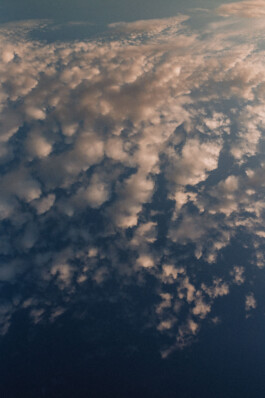 LAURA NENZ — Photography & Visual Storytelling