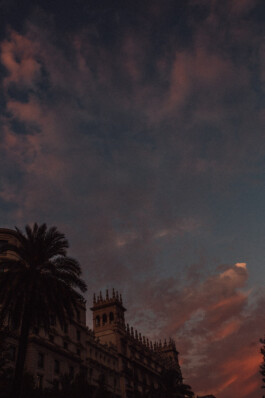 LAURA NENZ — Photography & Visual Storytelling