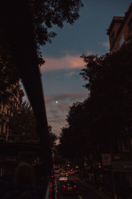 LAURA NENZ — Photography & Visual Storytelling