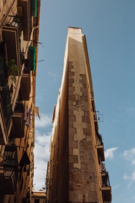 LAURA NENZ — Photography & Visual Storytelling