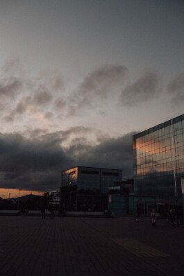 LAURA NENZ — Photography & Visual Storytelling