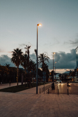 LAURA NENZ — Photography & Visual Storytelling